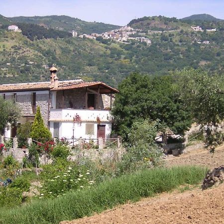 Agriturismo Acampora Villa Cerchiara di Calabria Exterior foto