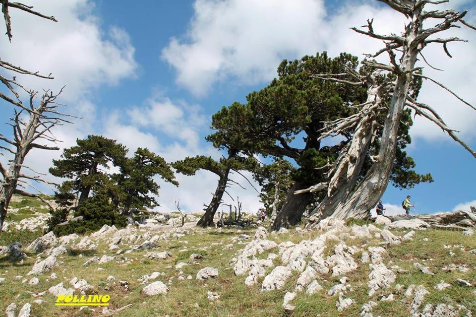 Agriturismo Acampora Villa Cerchiara di Calabria Exterior foto